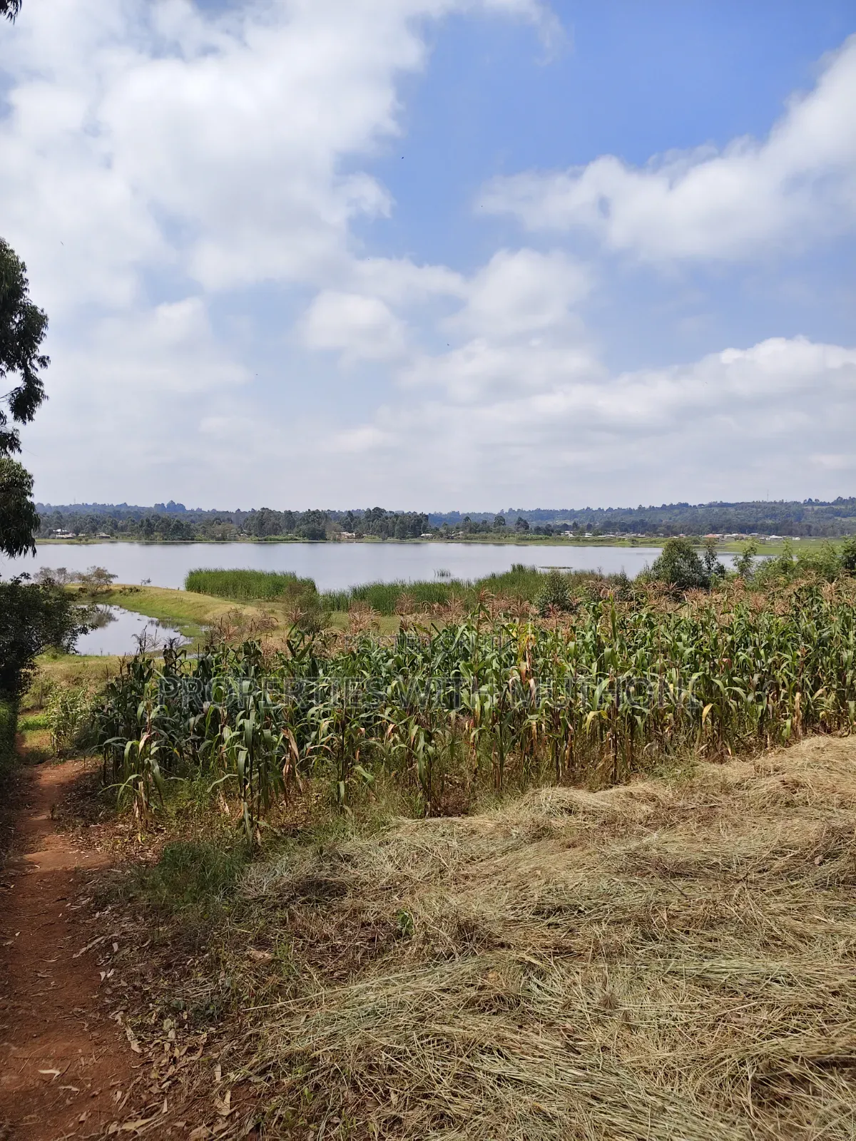 2 Acres Land for Sale in Kamangu in Karai