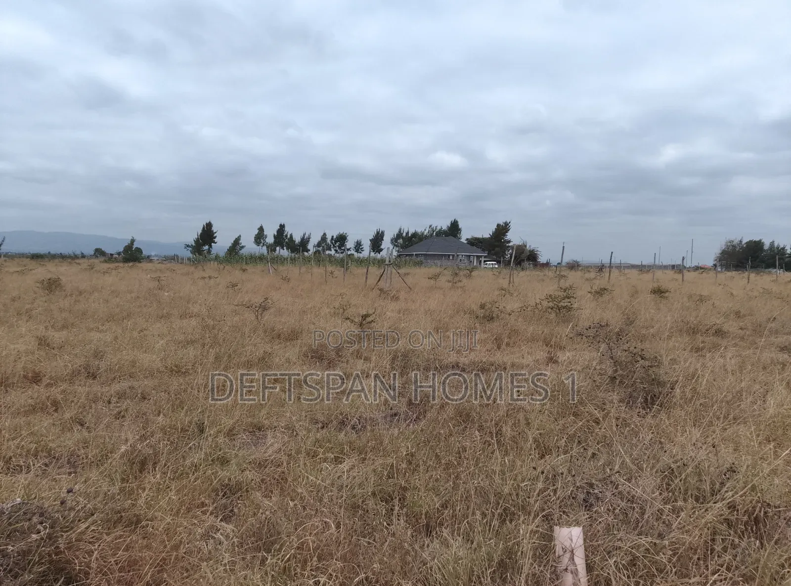 50 by 100 Plot Selling at Kantafu in Kangundo Central