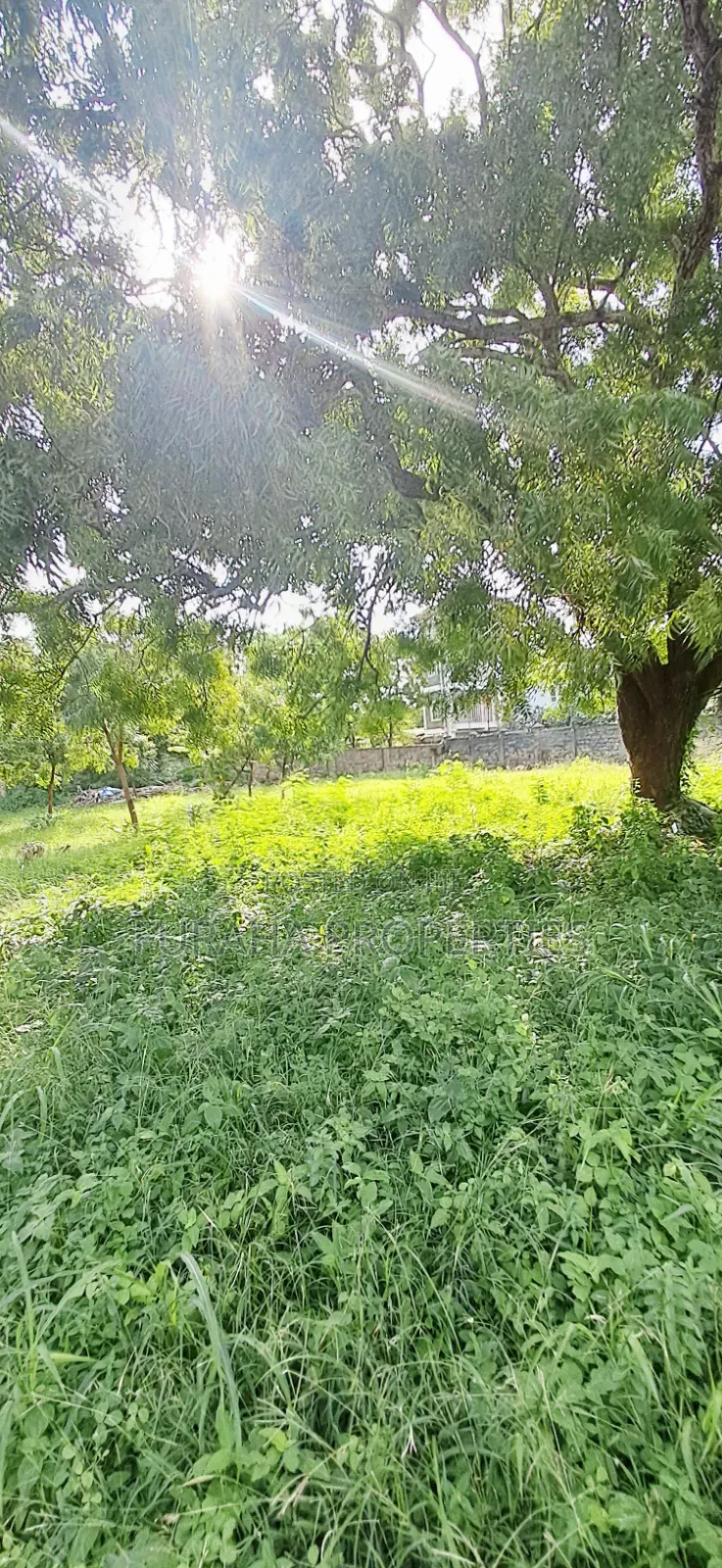 For Sale 1 Acre Prime Plot Diani in Diani