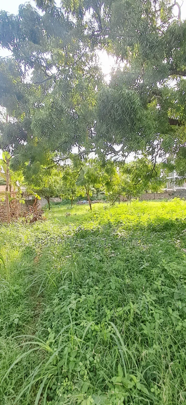 For Sale 1 Acre Prime Plot Diani in Diani