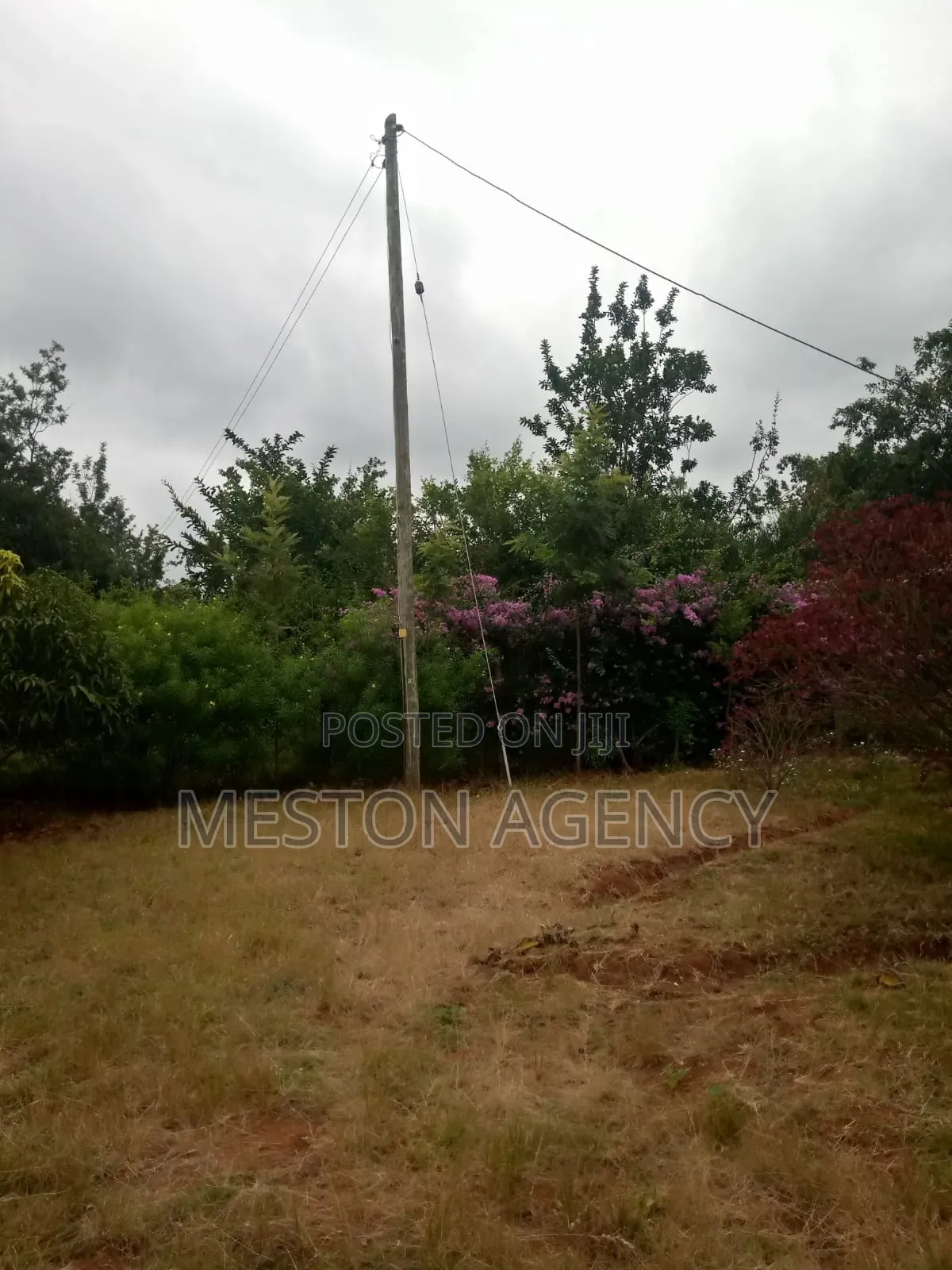 1/2 Acre at Embu Kanyariri Quick Sale in Kirimari