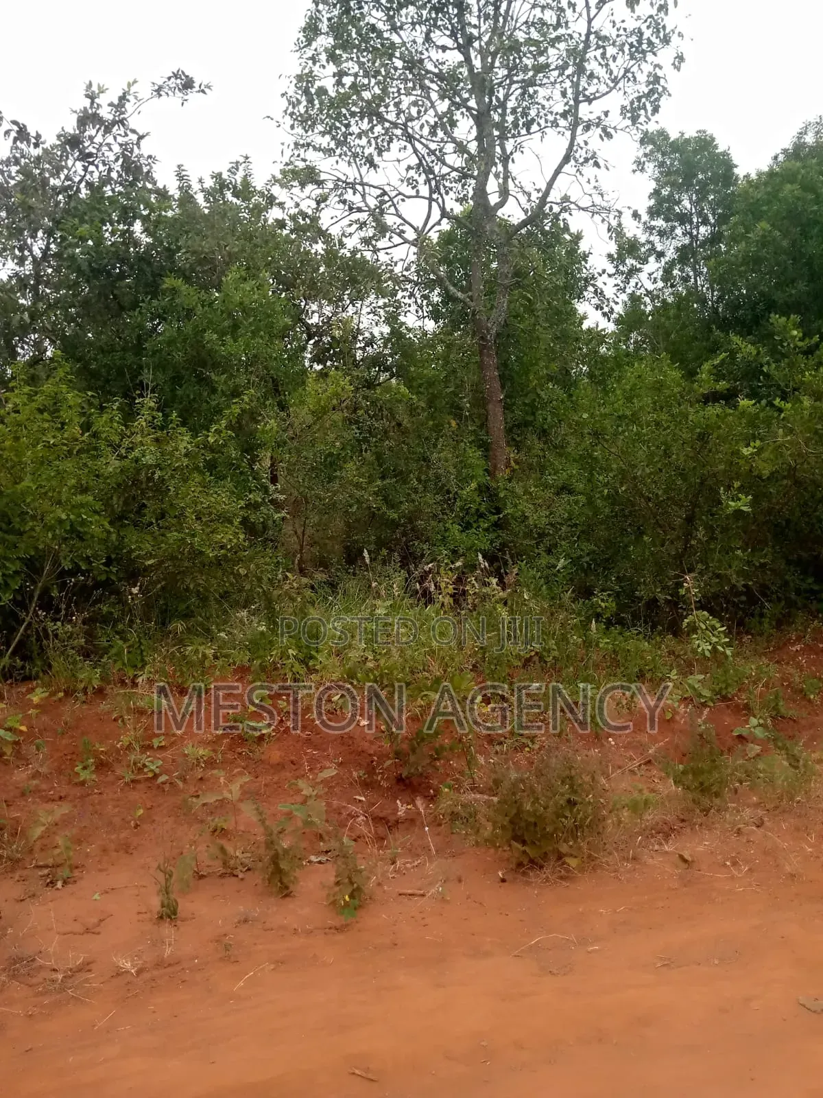 1/2 Acre at Embu Kanyariri Quick Sale in Kirimari