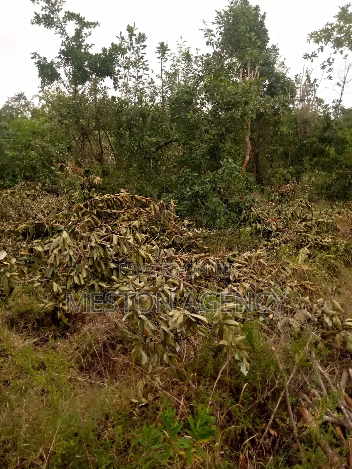 1/2 Acre at Embu Kanyariri Quick Sale in Kirimari