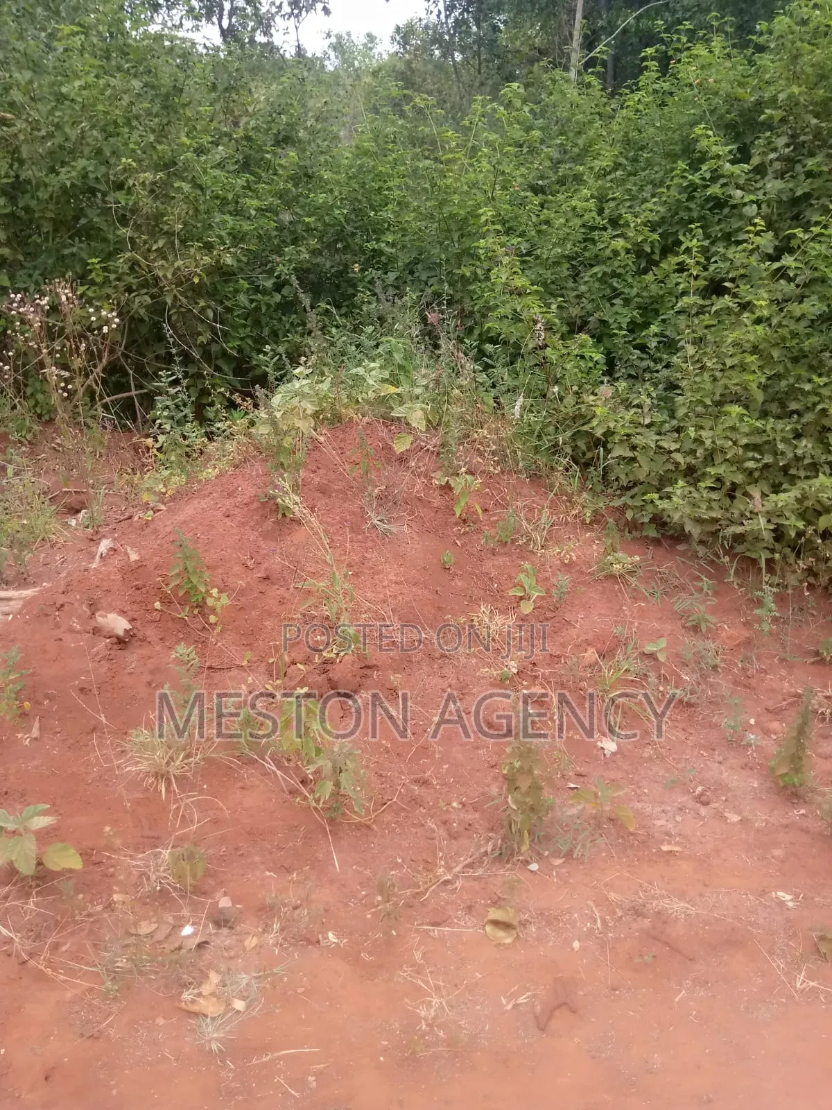 1/2 Acre at Embu Kanyariri Quick Sale in Kirimari