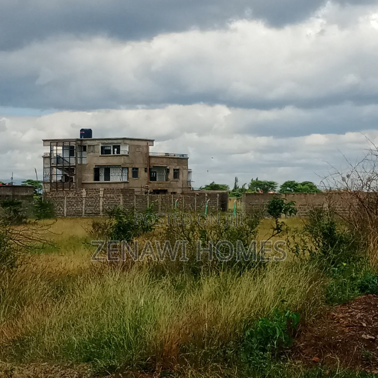 Royal Groove Jujafarm by Pm in Kalimoni