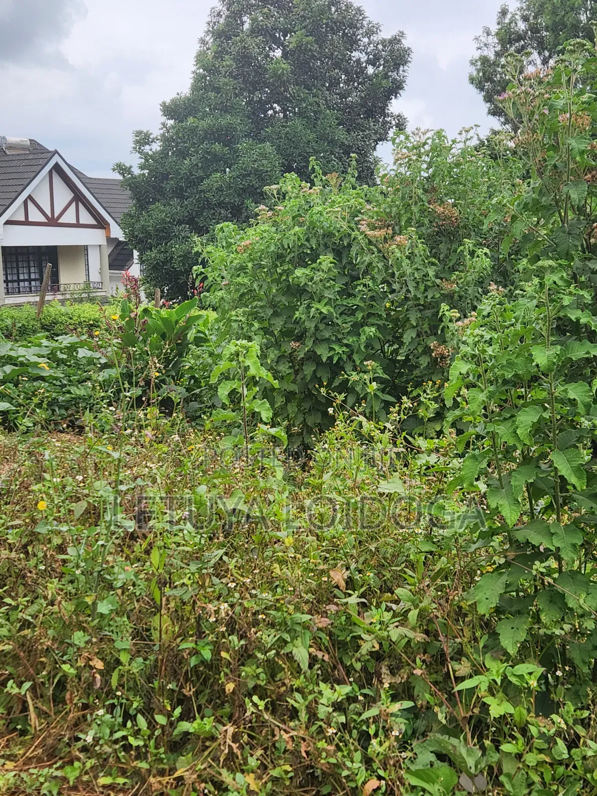 1⁄8 Acre Plots Kerarapon in Kerarapon