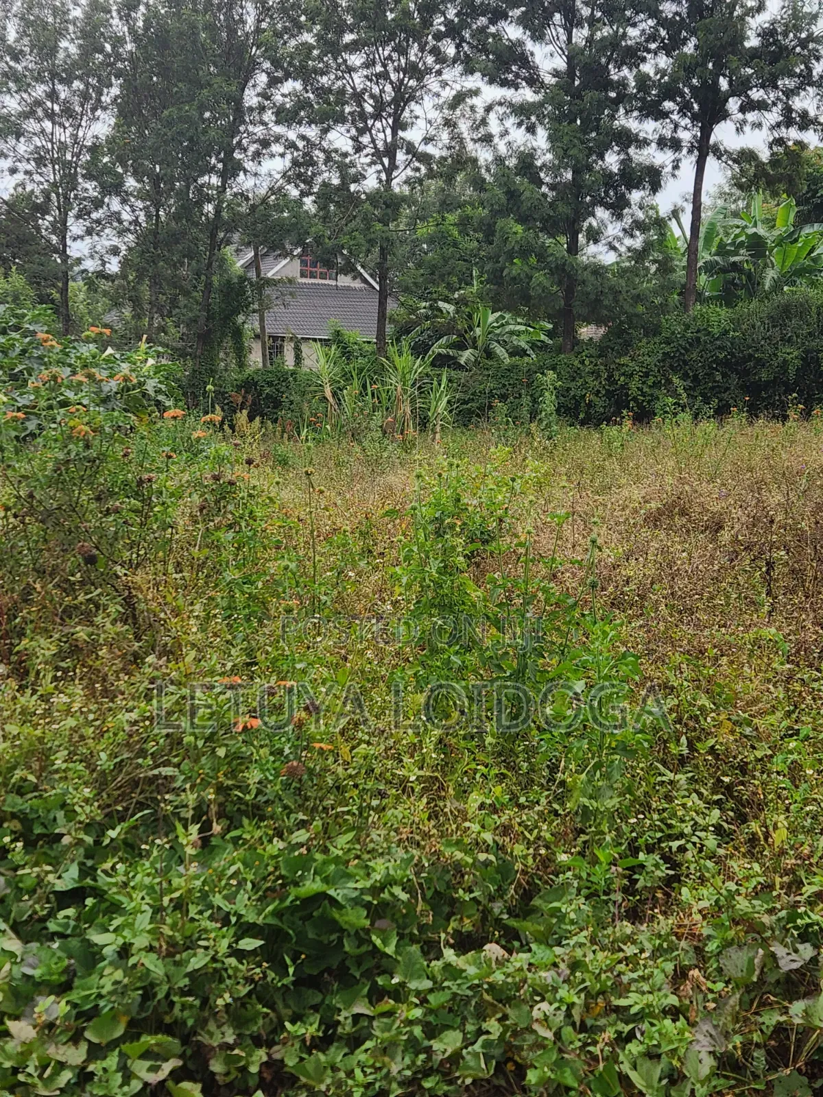1⁄8 Acre Plots Kerarapon in Kerarapon
