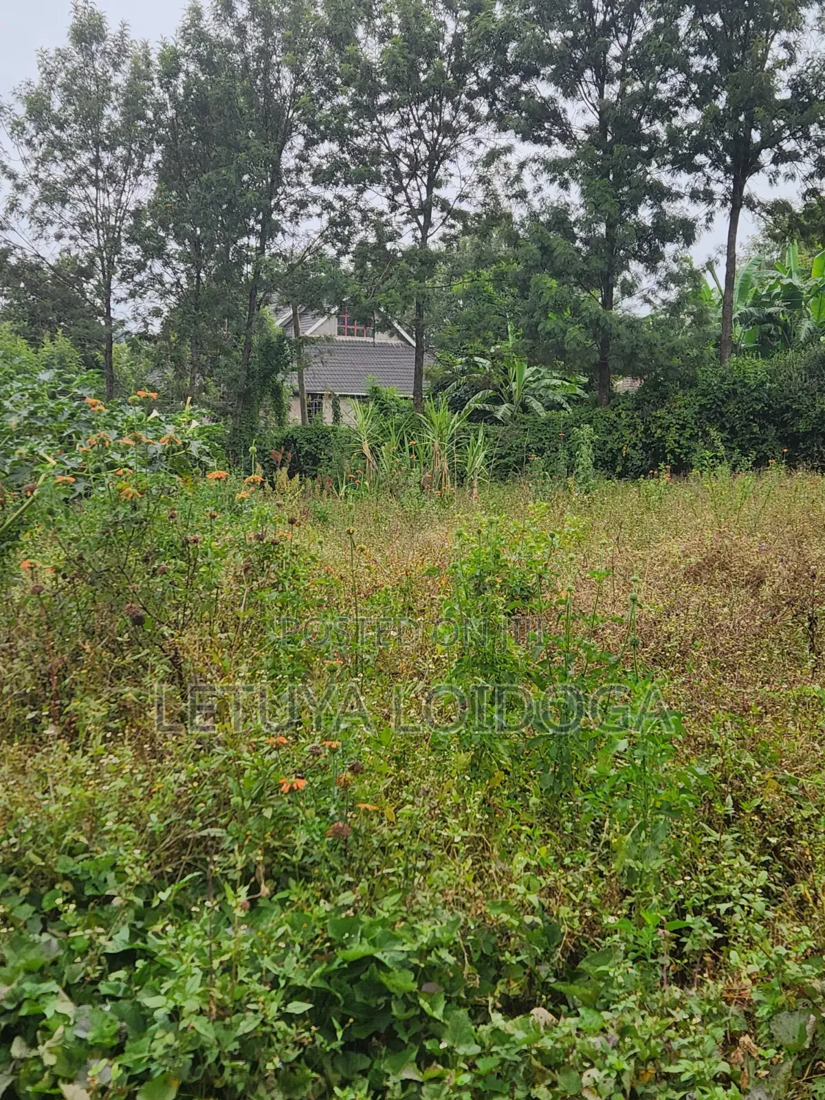 1⁄8 Acre Plots Kerarapon in Kerarapon