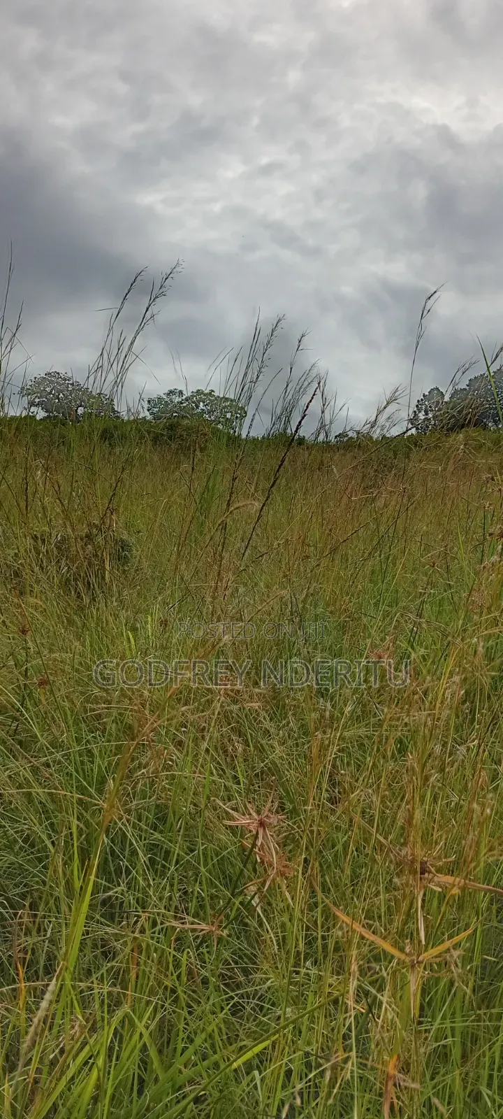 22.5 Acres in Thika in Ngoingwa Estate