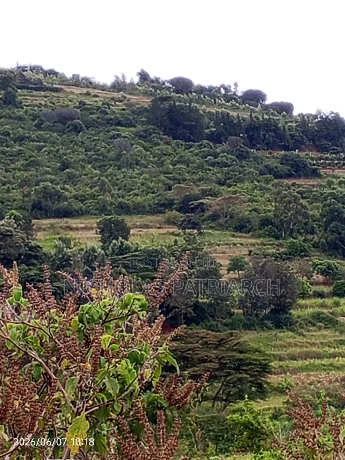 4 Acres Mua Hills Kitanga Selling in Mua Hills