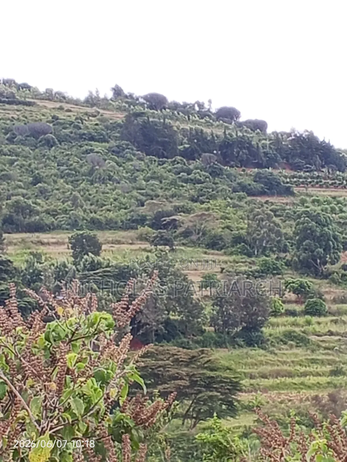 4 Acres Mua Hills Kitanga Selling in Mua Hills