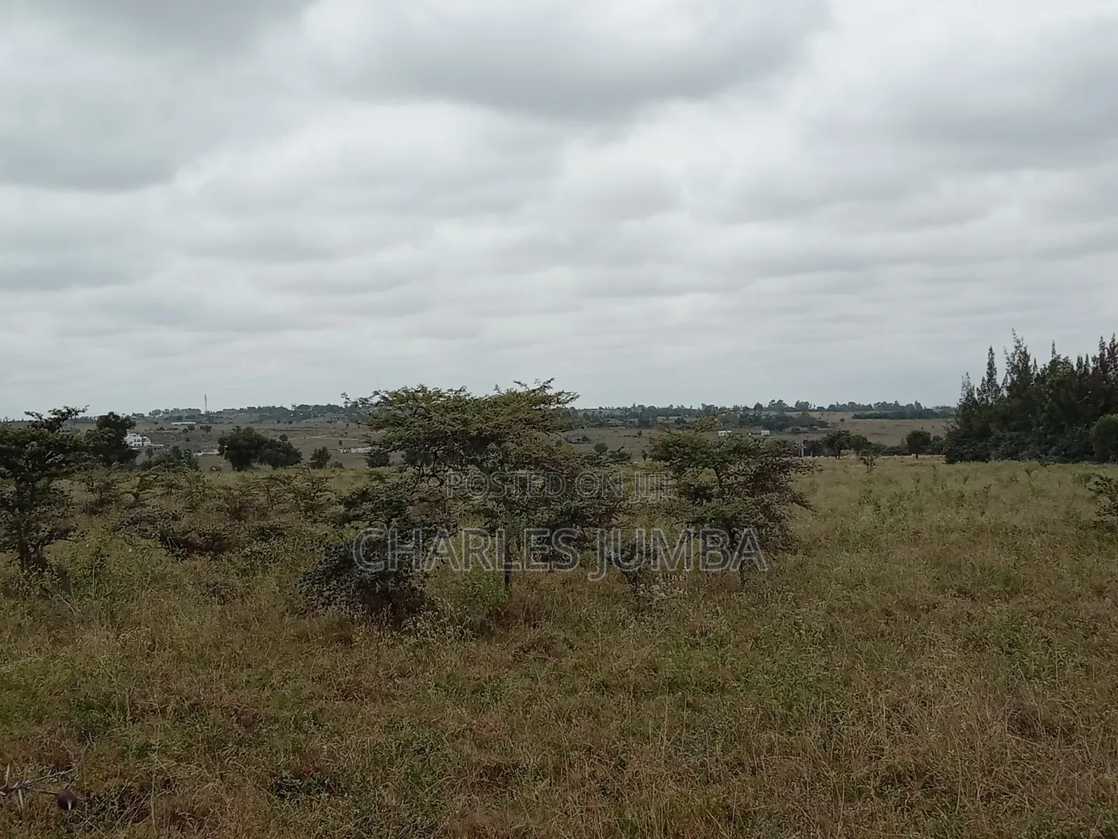 1/8 Plot in Oloika, Acacia in Kitengela