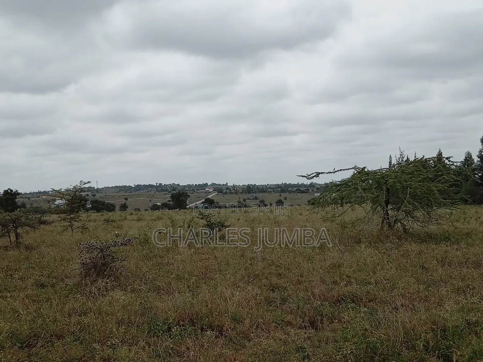1/8 Plot in Oloika, Acacia in Kitengela