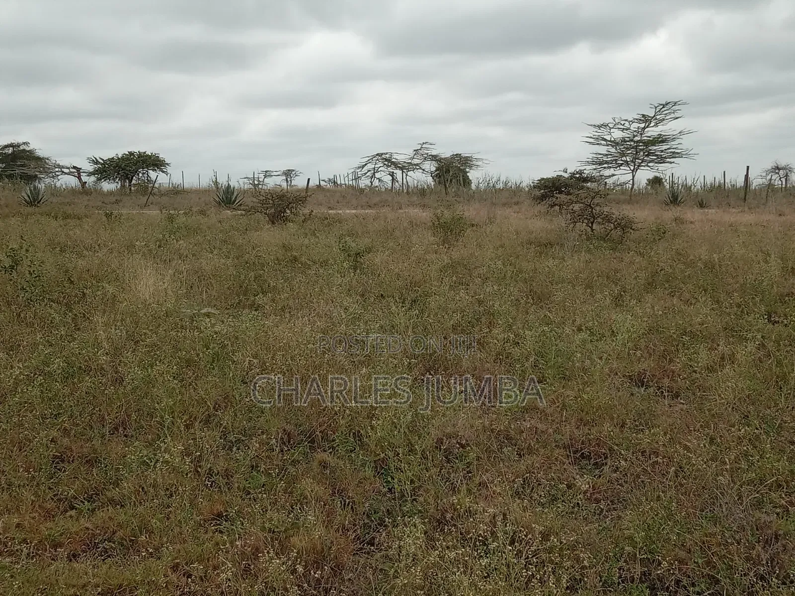 1/8 Plot in Oloika, Acacia in Kitengela