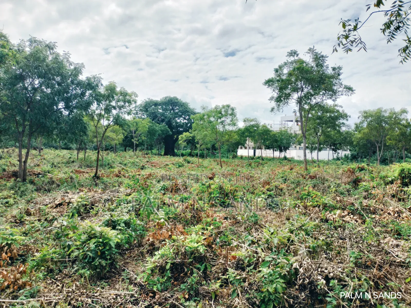 One Acre Third Row Prime Land in Baobab Hotel Area!! in Ukunda