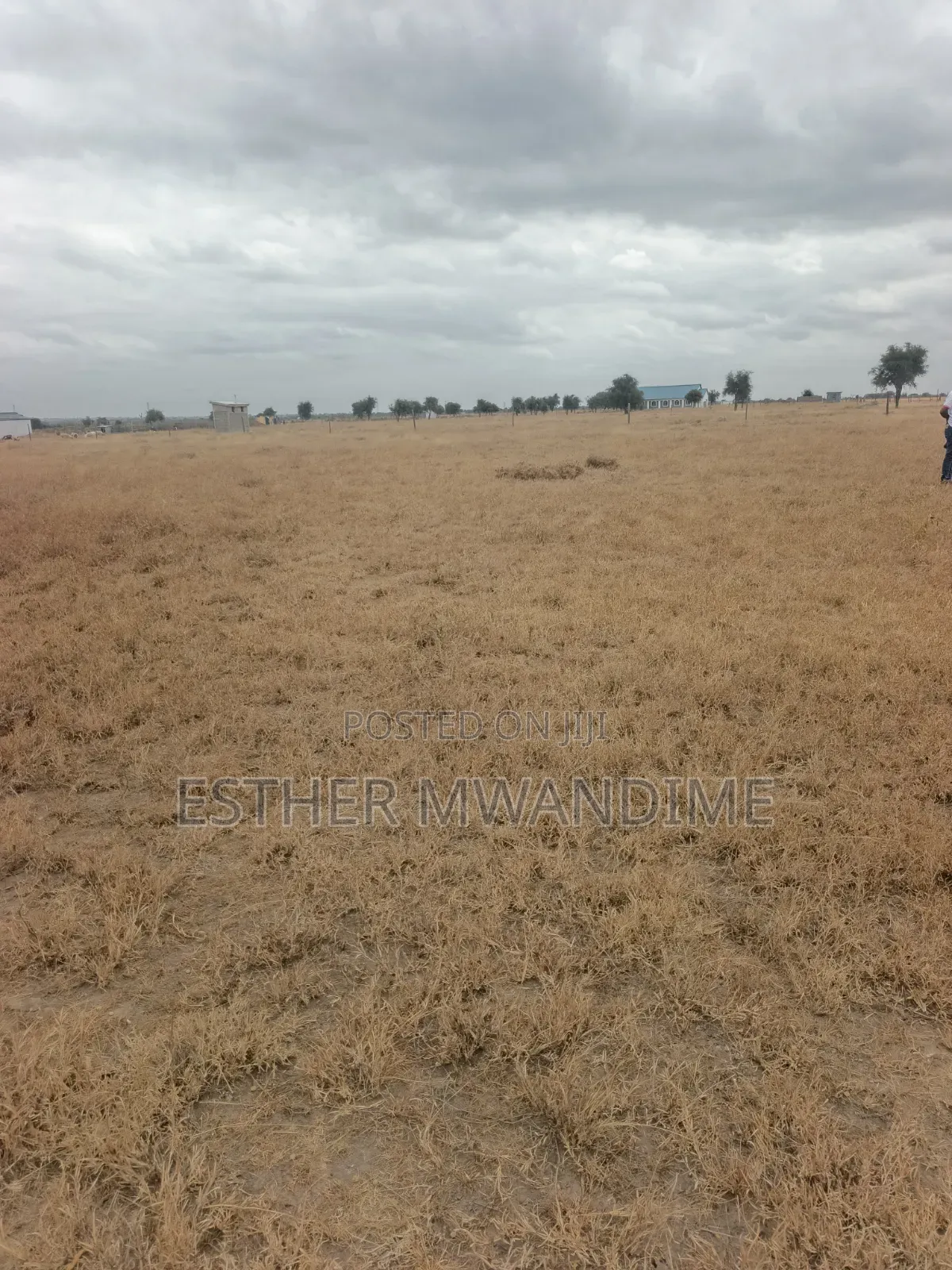 Plots and Lans for Sale in Kitengela