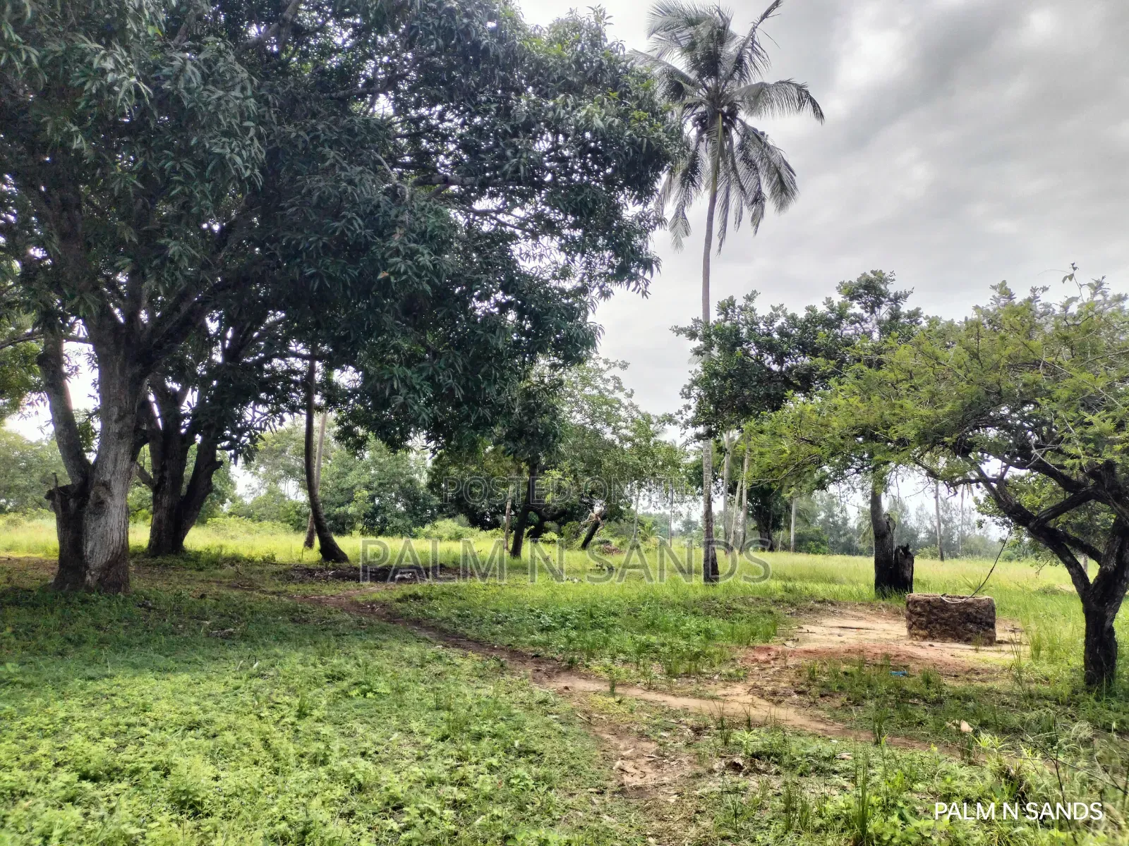  Unbeatable Value in Msambweni – 18 Acres for Only KSH 8m!  in Ukunda