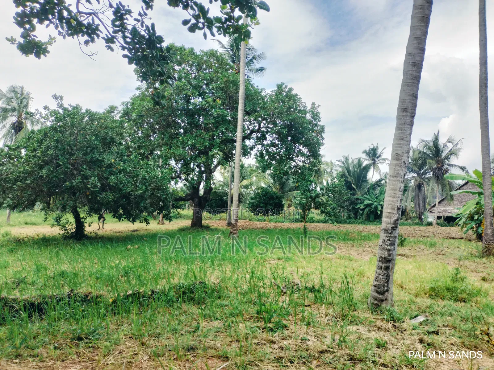  Unbeatable Value in Msambweni – 18 Acres for Only KSH 8m!  in Ukunda