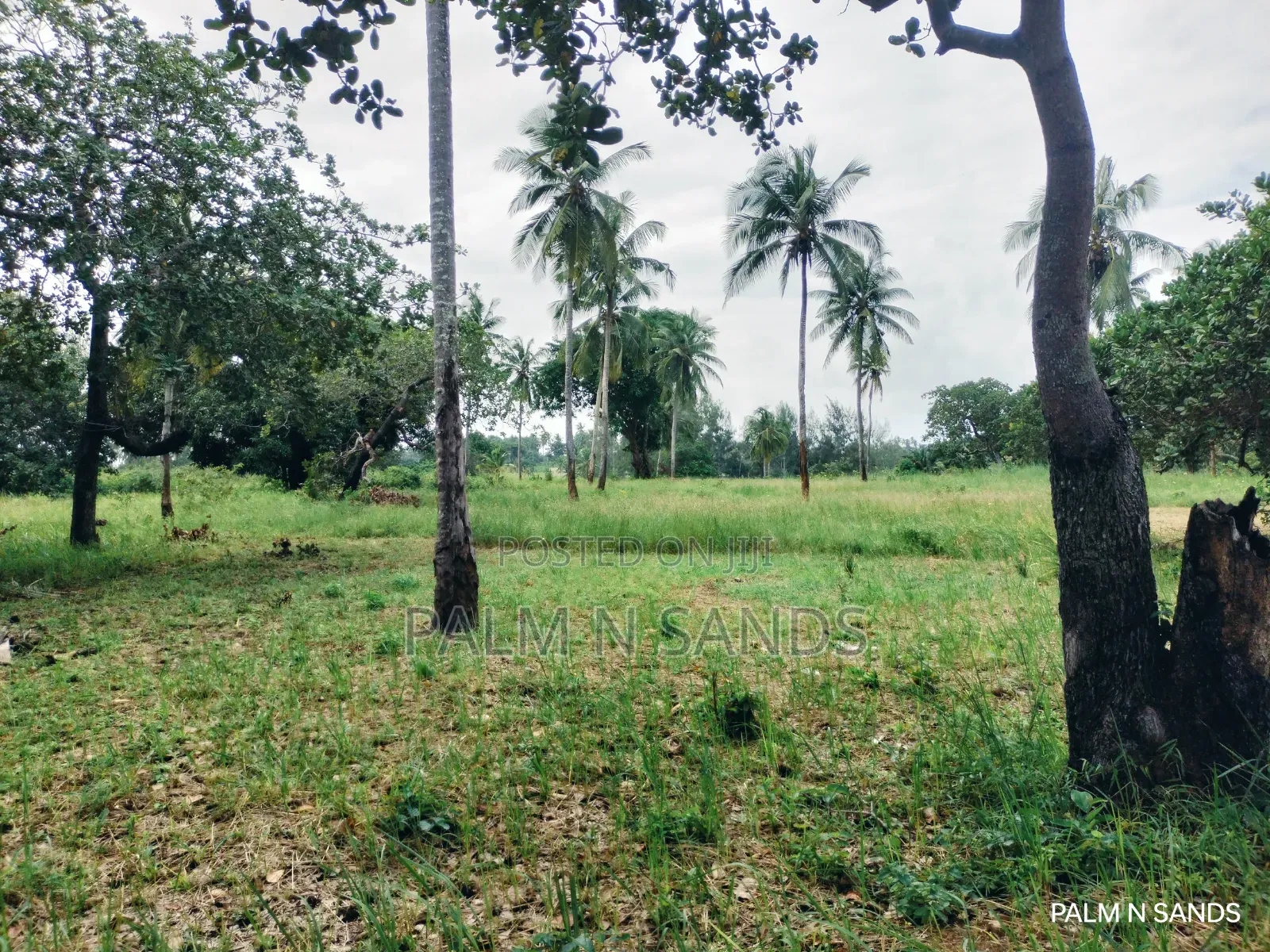  Unbeatable Value in Msambweni – 18 Acres for Only KSH 8m!  in Ukunda