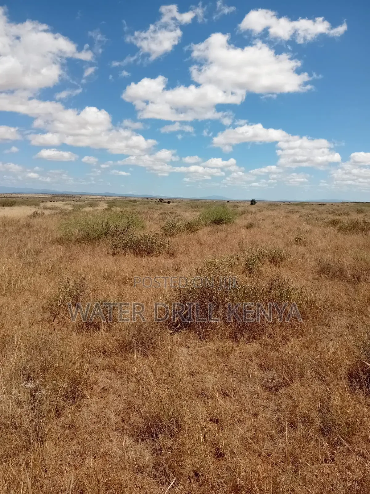 Wild Ranch Onsale in Loitoktok