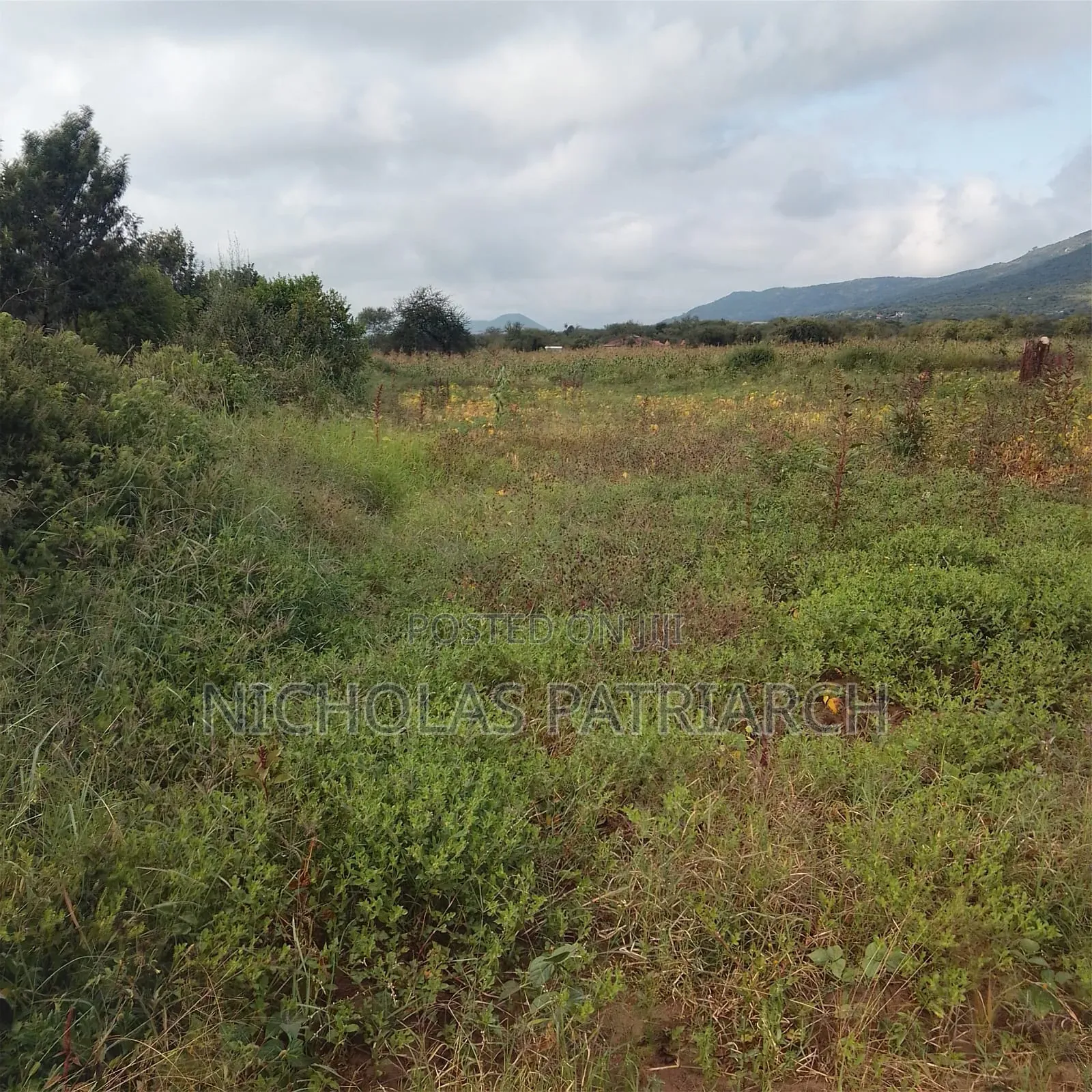 1 Acre Land at Masii Machakos County Selling at 1.5m in Lukenya