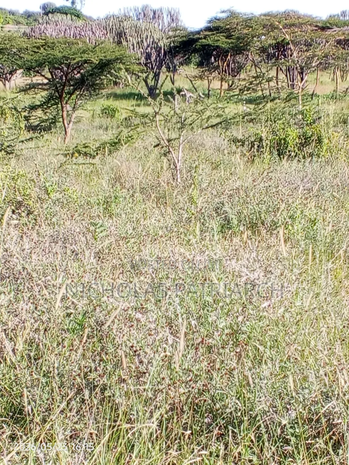 1 Acre Land at Masii Machakos County Selling at 1.5m in Lukenya