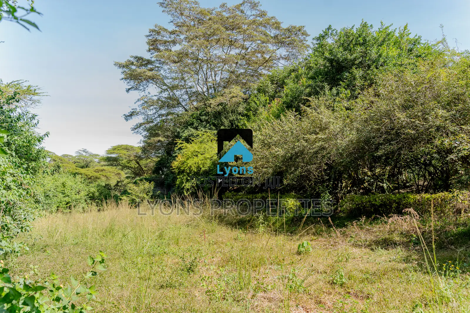 3/4 Acre Of Land For Sale In Maasailodge Including A 6 Bdrm in Maasai Lodge