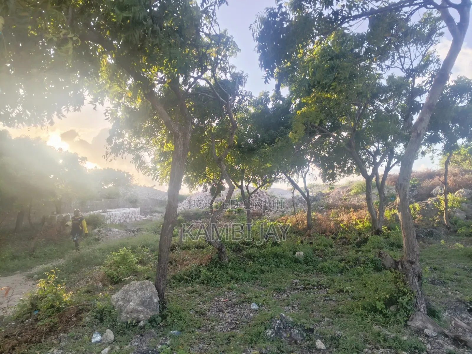 1l2 Acre Land(1/2) in Watamu