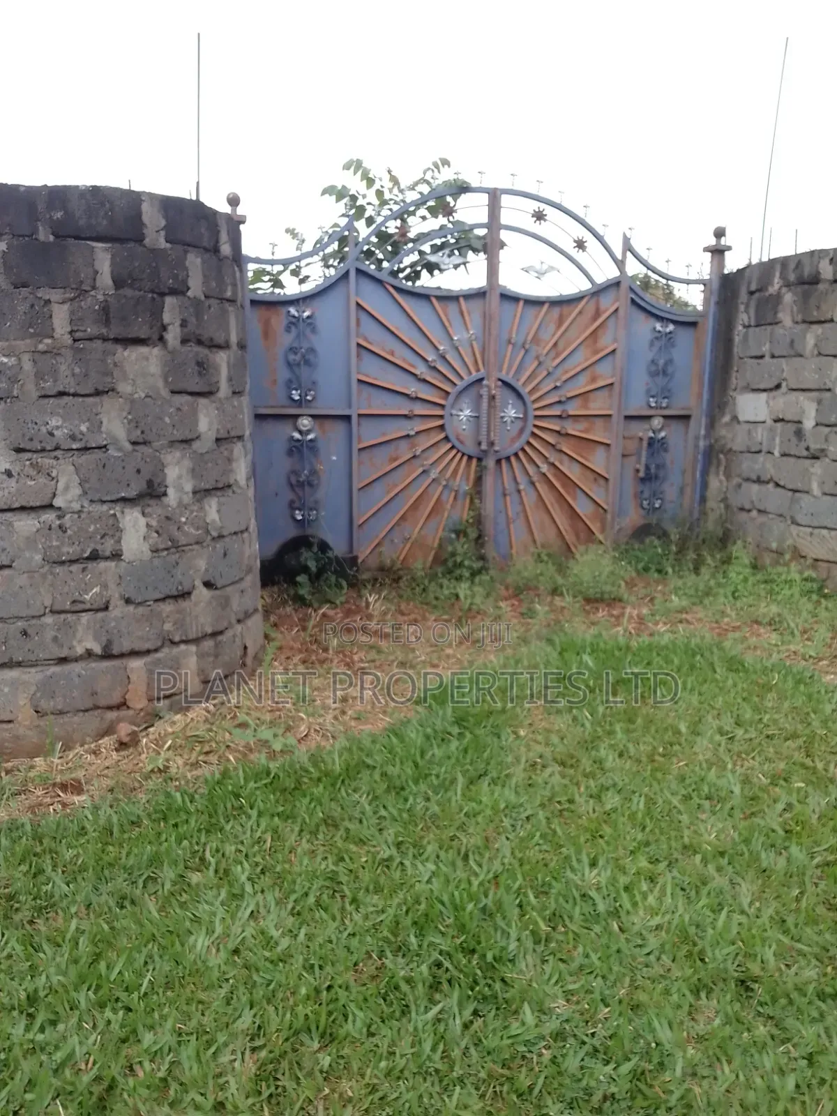 Kagongo Ruaka B. 2km to Ruaka in Ruaka