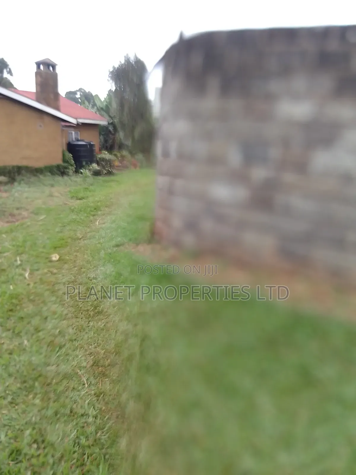 Kagongo Ruaka B. 2km to Ruaka in Ruaka