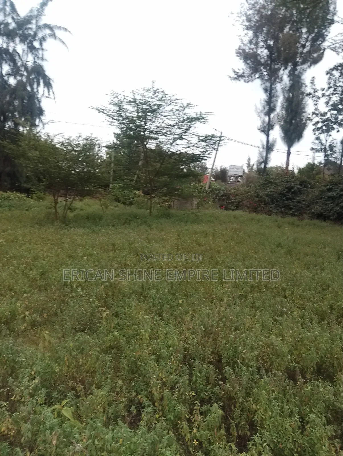 Prime 1 Acre for Sale in Karen in Karen C