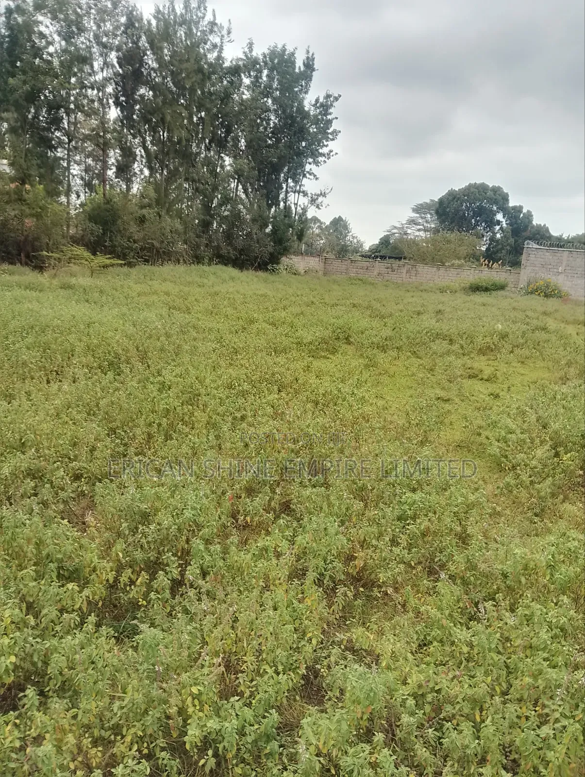 Prime 1 Acre for Sale in Karen in Karen C