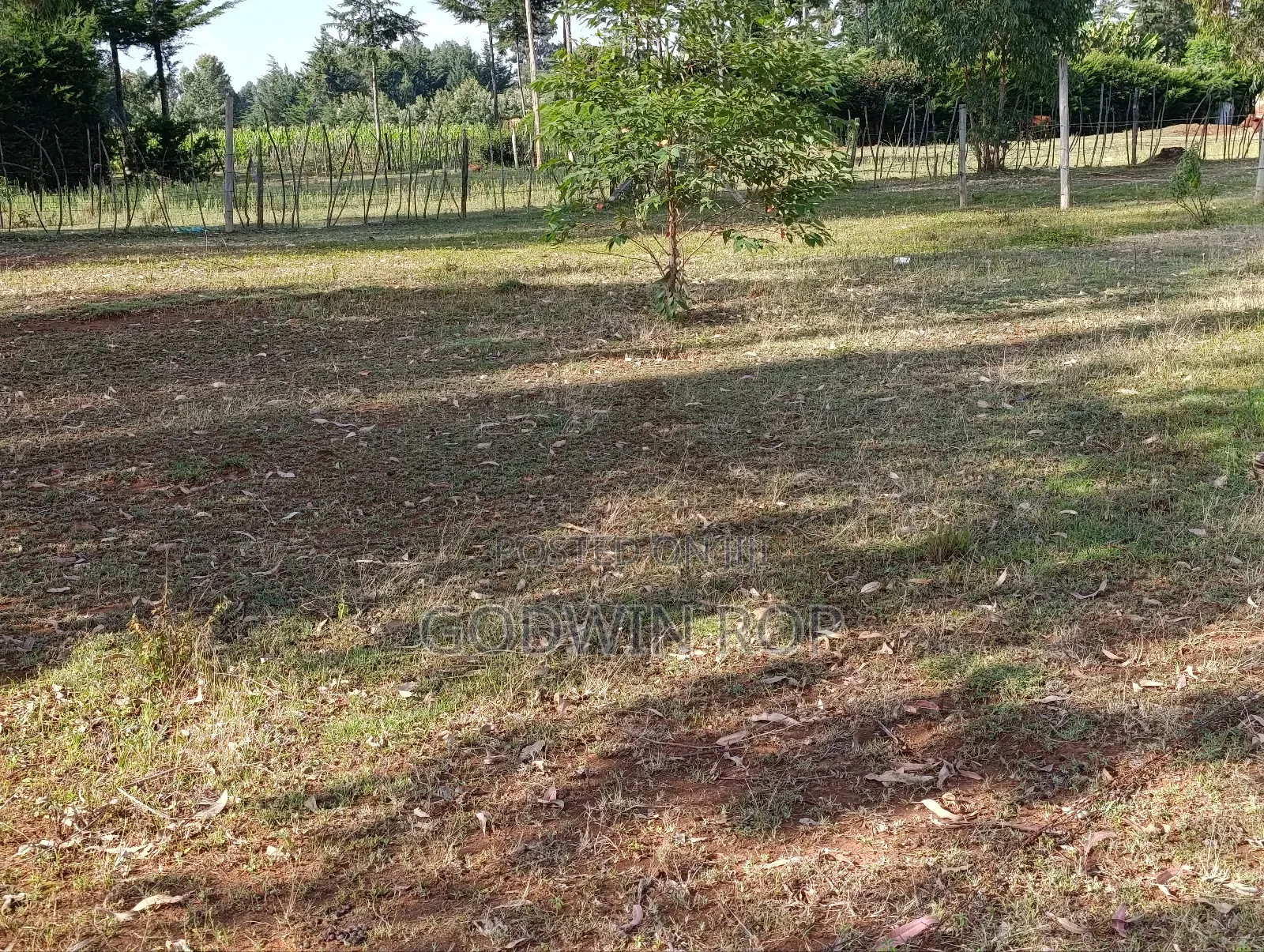 1⁄4 Plot for Sale in Kipkorgot, Eldoret. in Hillside