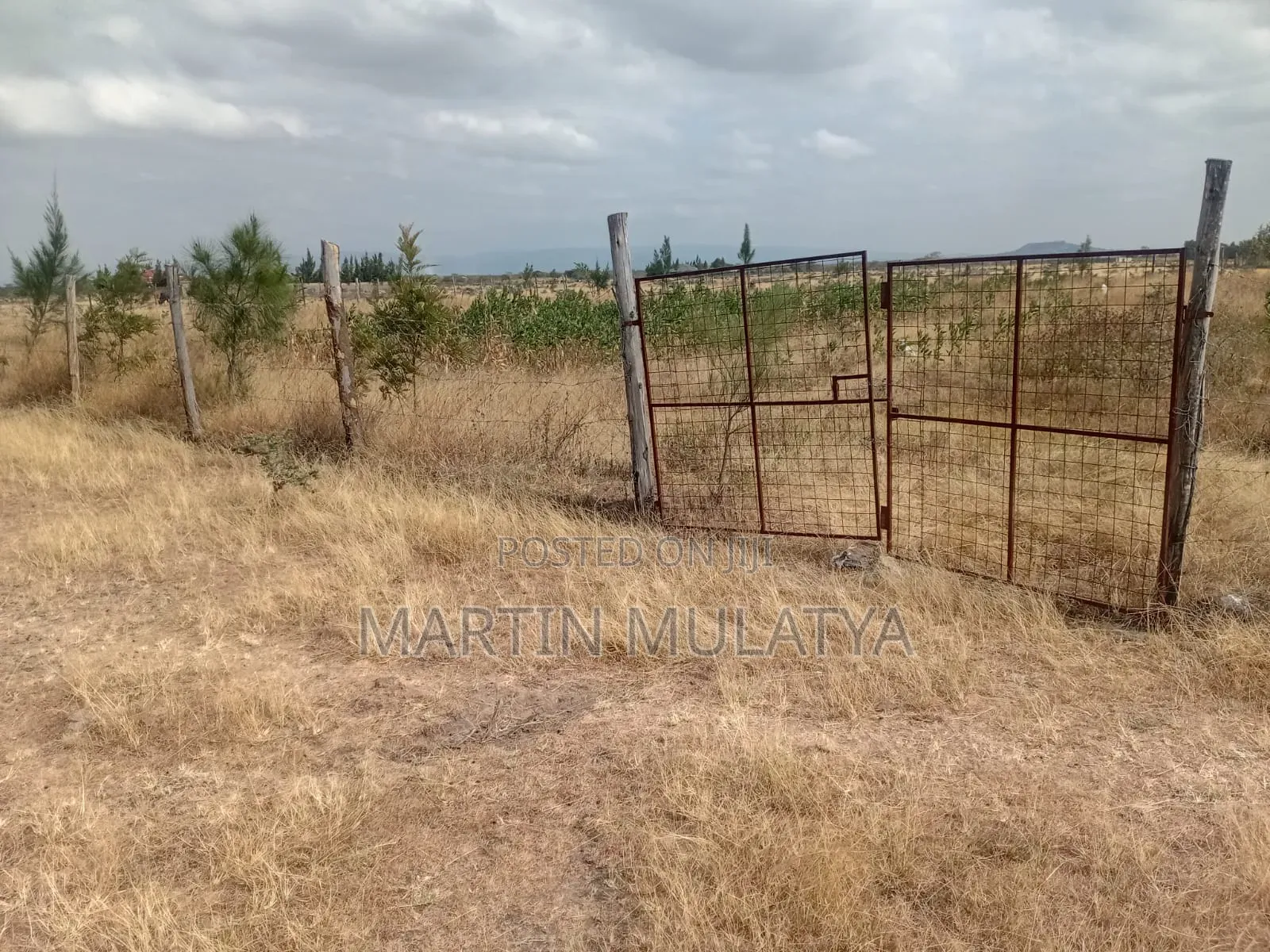 Land for Sell in Nguluni