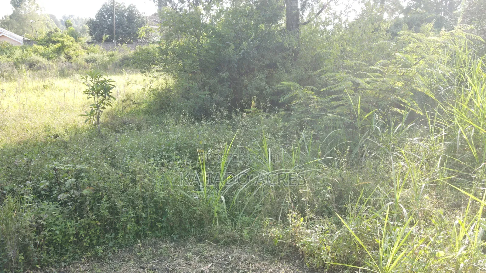 1/4 Acre Pieces Olepos at 11m in Ole Polos