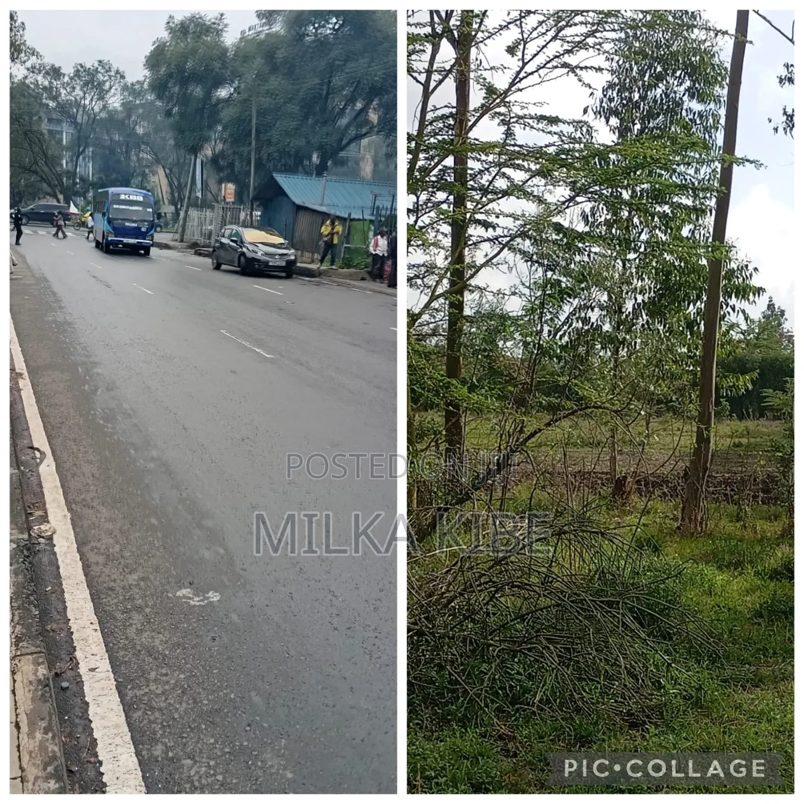 Half Acre Pangani in Pangani