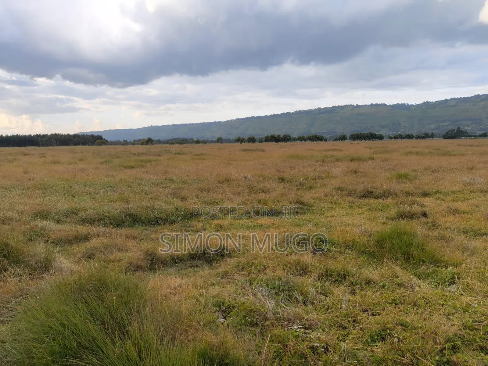 Olkalou Kariamu Prime 82 Acres Kirima Scheme in Central Ndaragwa