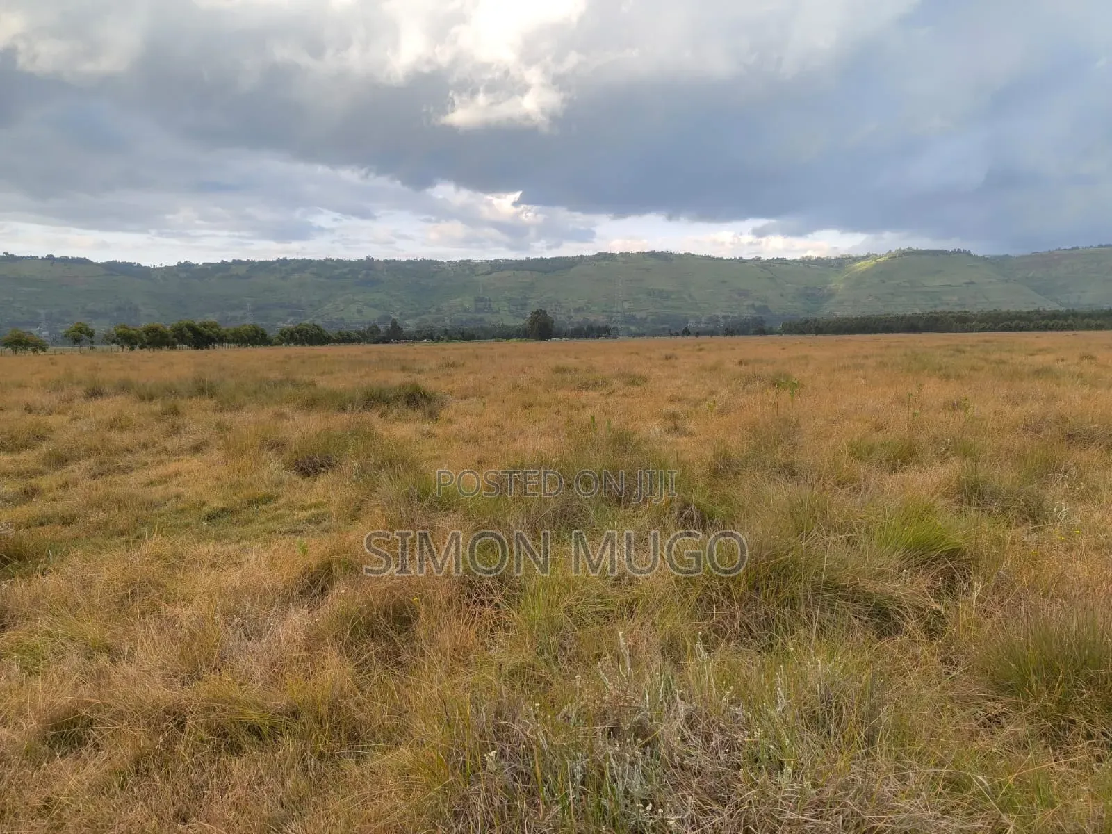 Olkalou Kariamu Prime 82 Acres Kirima Scheme in Central Ndaragwa