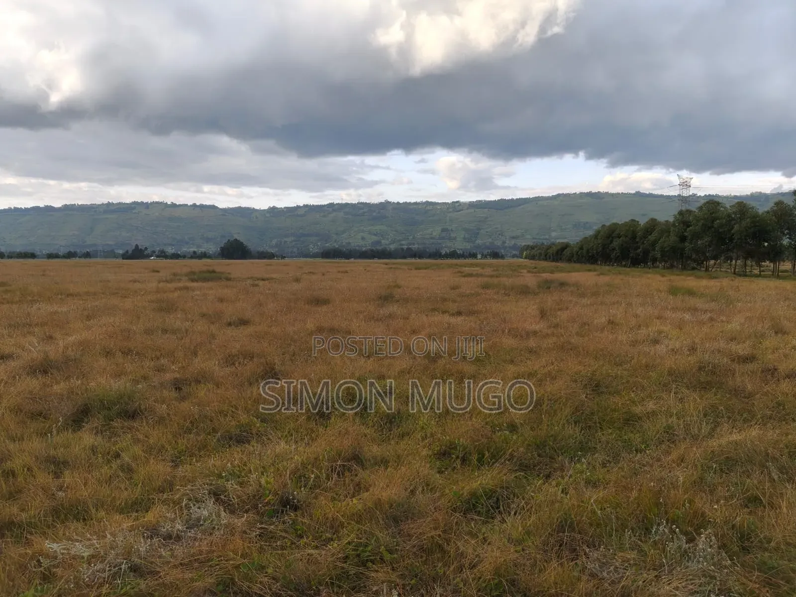 Olkalou Kariamu Prime 82 Acres Kirima Scheme in Central Ndaragwa