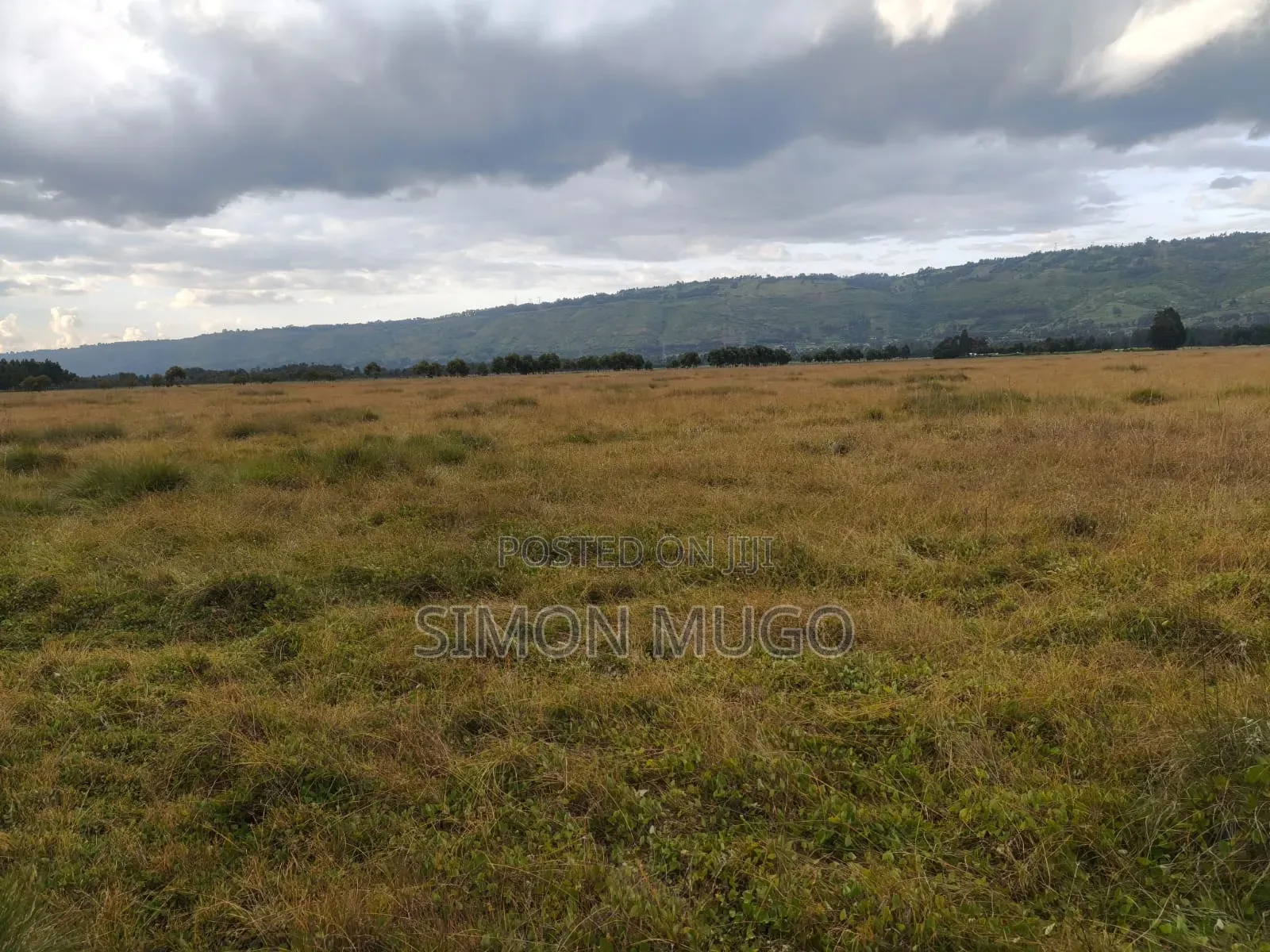 Olkalou Kariamu Prime 82 Acres Kirima Scheme in Central Ndaragwa