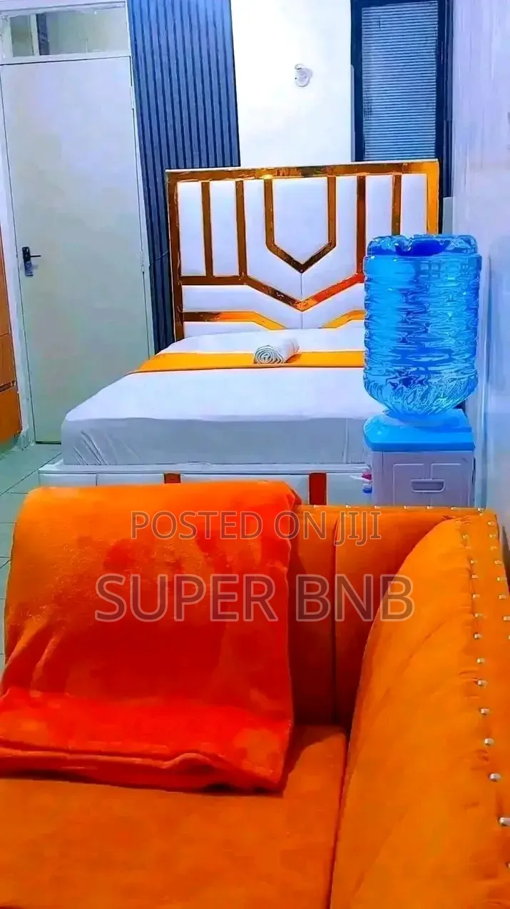 Furnished Apartments  in TRM Drive and Mirema +Zimmerman (Roysambu) in Nairobi Central