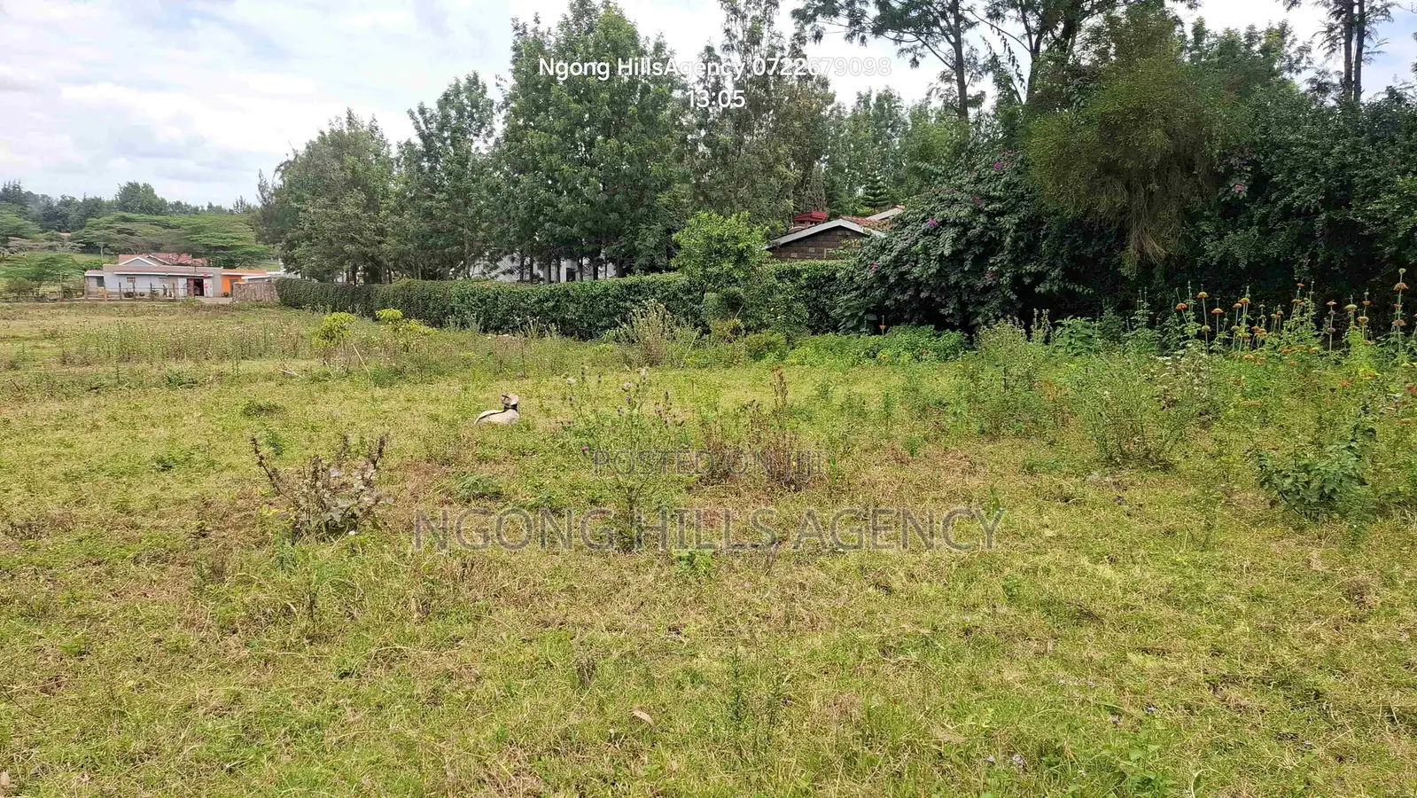 Prime 3/8-Acre Land for Sale in Ololua, Ngong in Oluulua