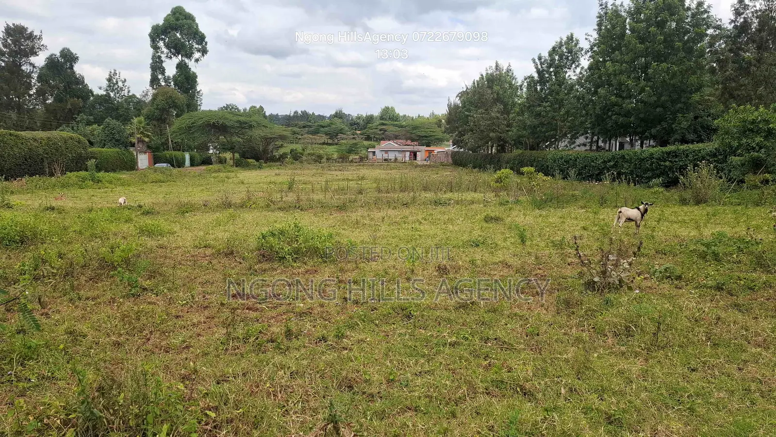 Prime 3/8-Acre Land for Sale in Ololua, Ngong in Oluulua