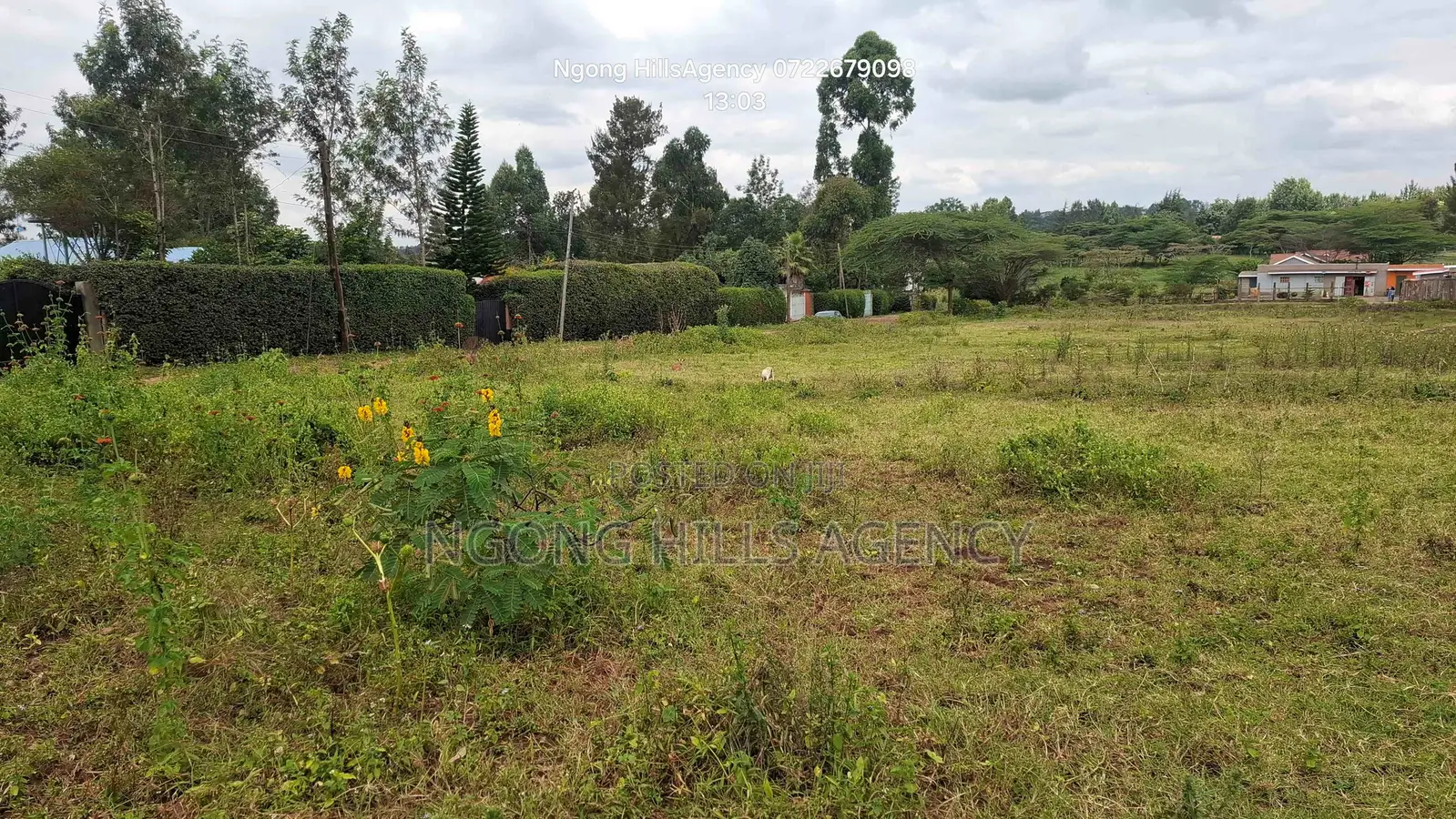 Prime 3/8-Acre Land for Sale in Ololua, Ngong in Oluulua