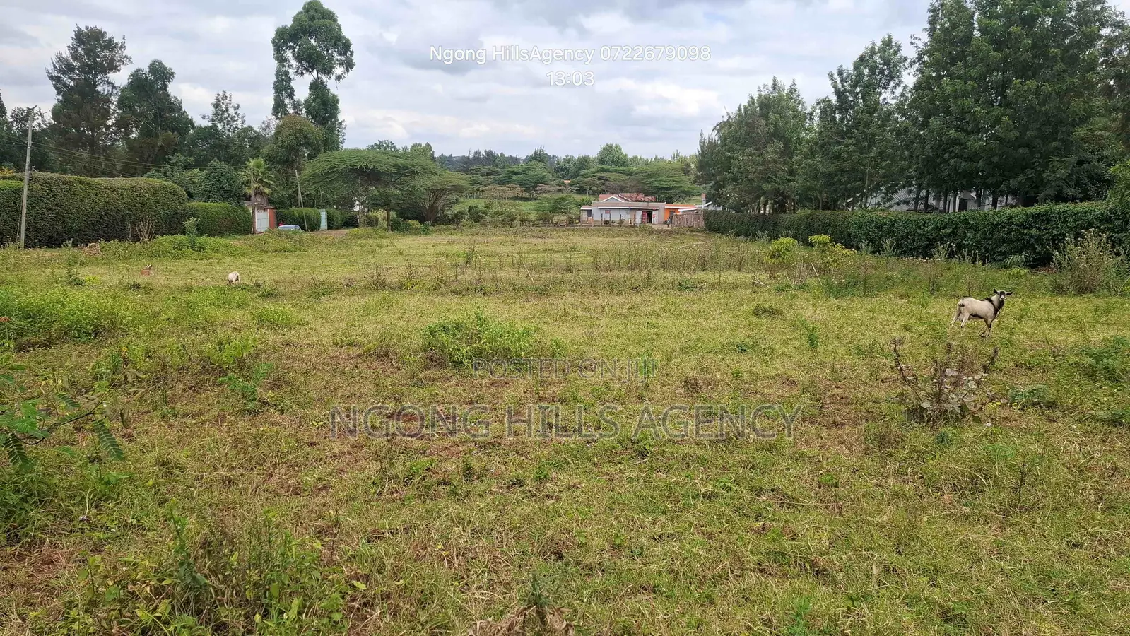 Prime 3/8-Acre Land for Sale in Ololua, Ngong in Oluulua