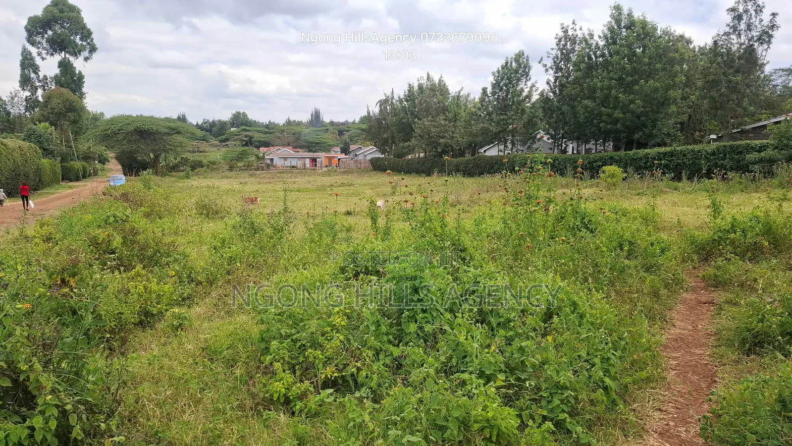 Prime 3/8-Acre Land for Sale in Ololua, Ngong in Oluulua