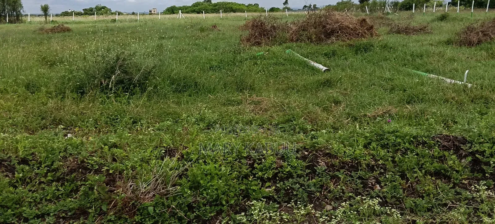 Residential Plots in Kamakis in Kamakis