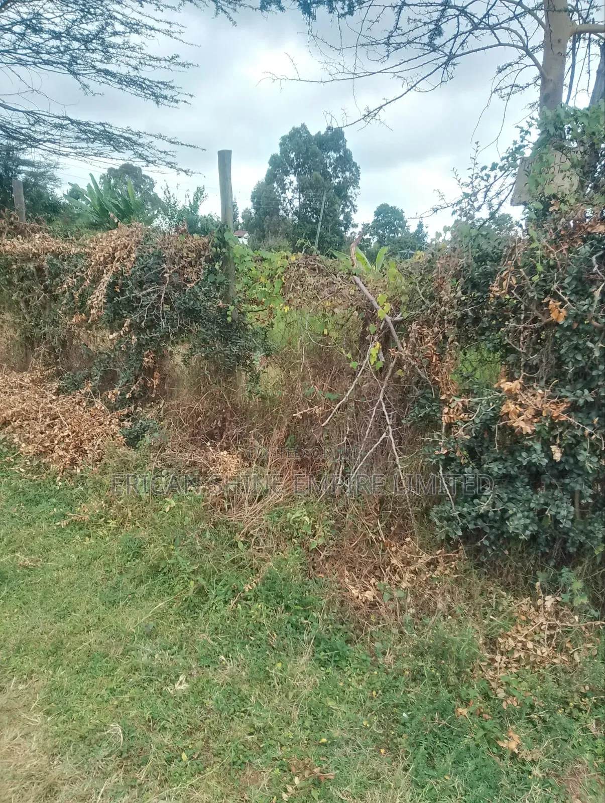 Land for Sale 1/2 in Karen in Silanga