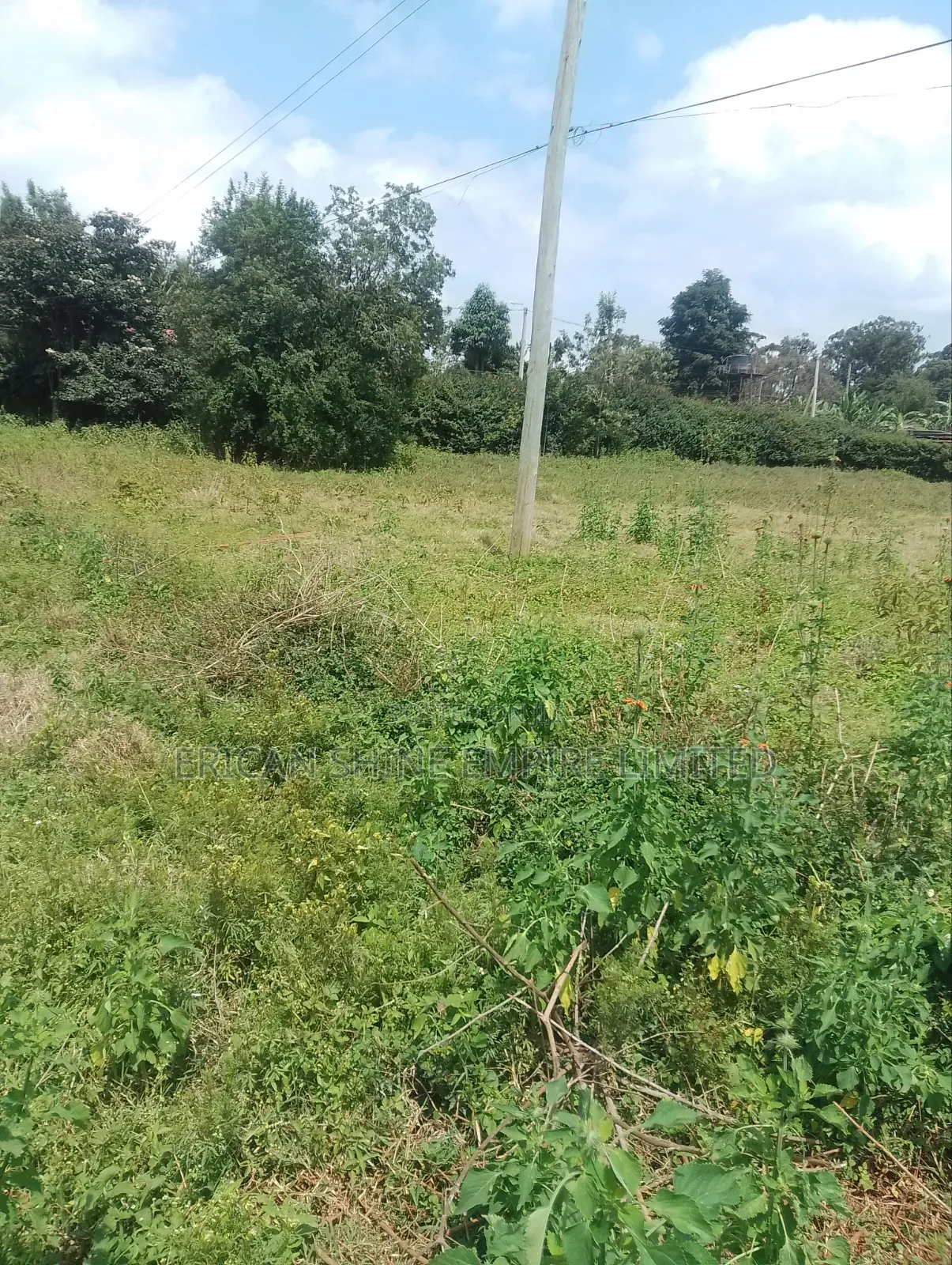 Karen Land 3 Acres for Sale in Hardy