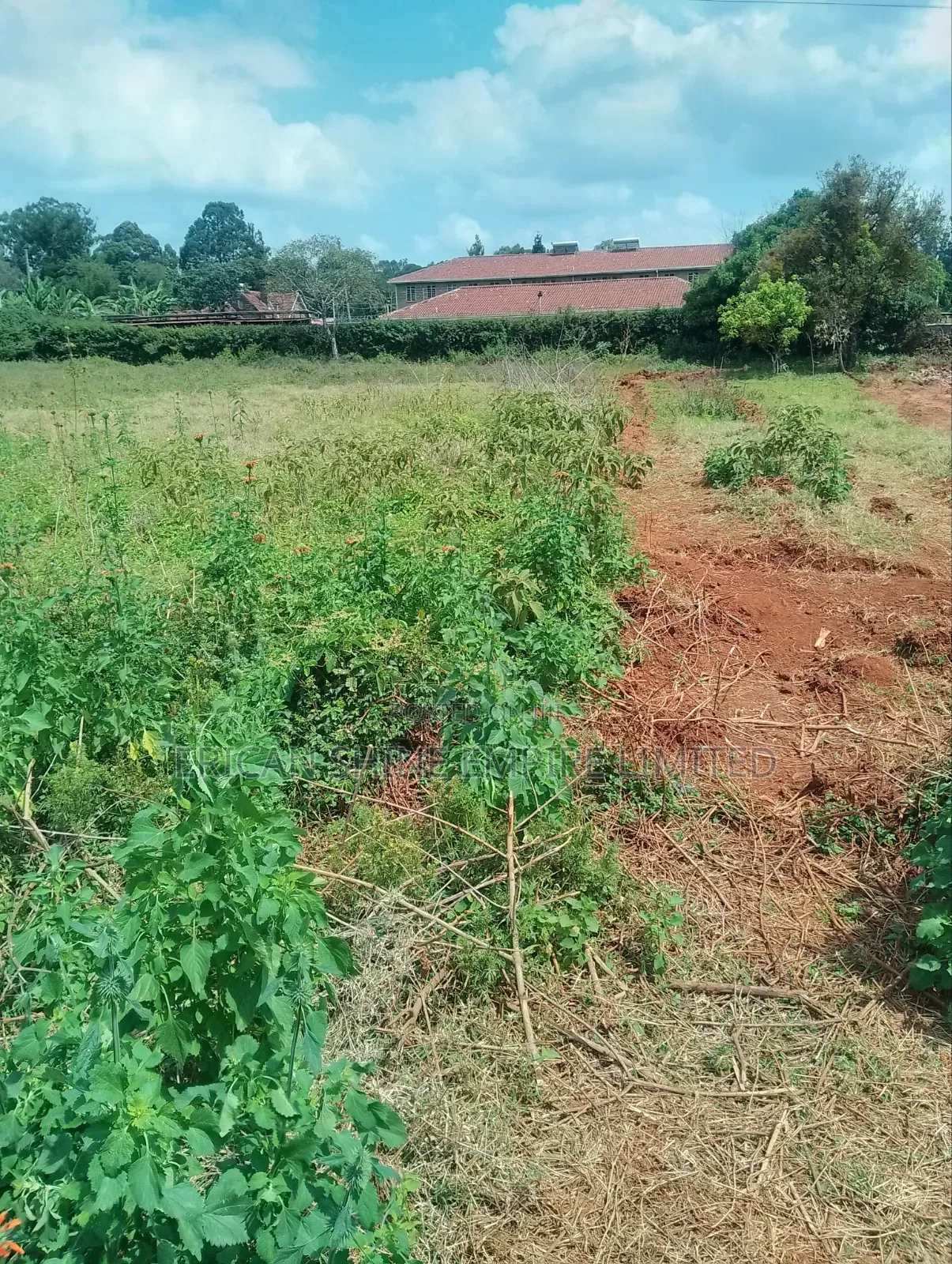 Karen Land 3 Acres for Sale in Hardy